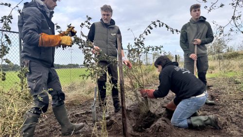 2026-10-15-Natuurwerkdag-bij-AARDS-samen-aan-de-slag-op-de-Aarderij