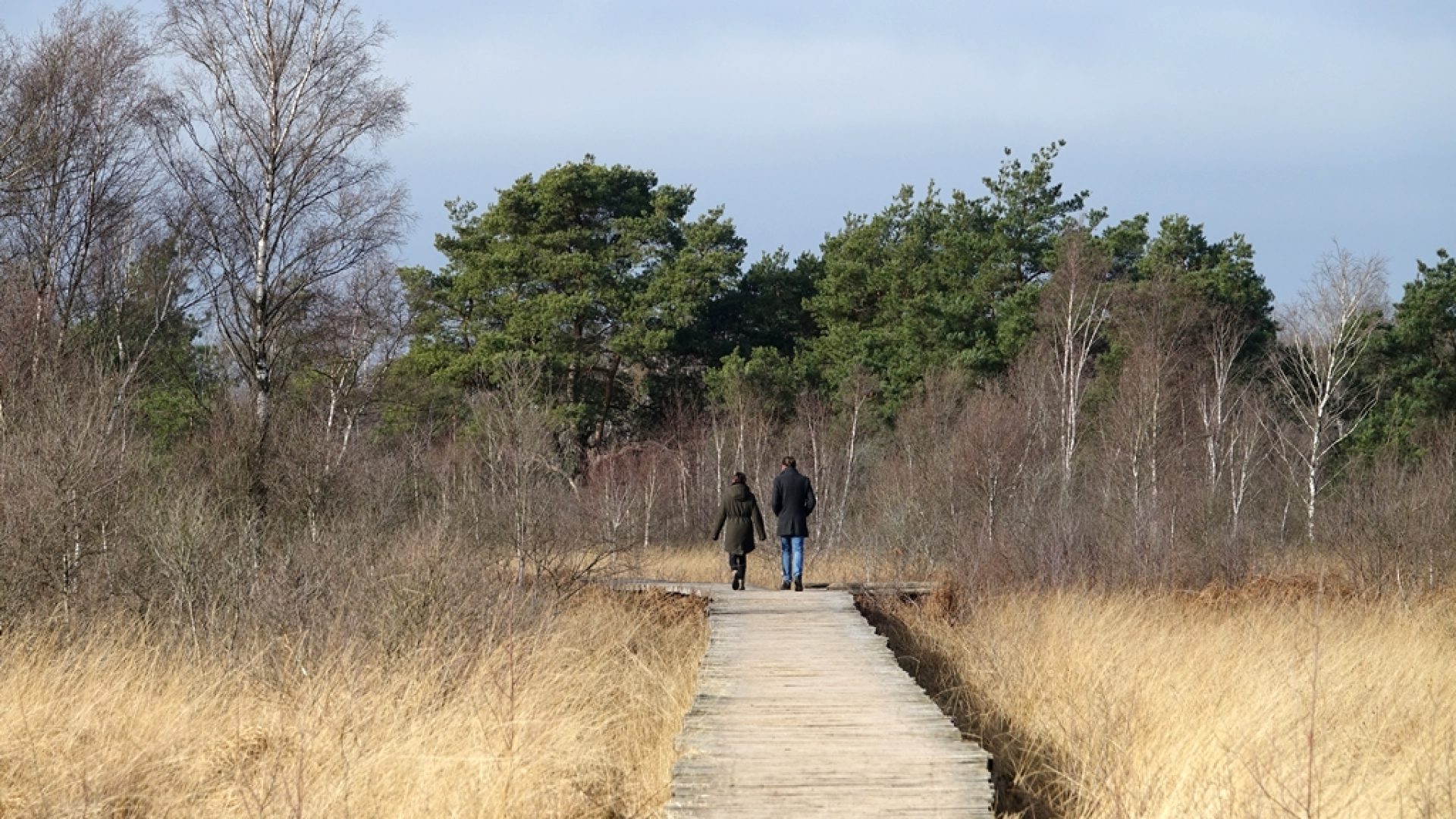 2026-10-28-Wandeltocht-onder-begeleiding-van-een-Peelgids