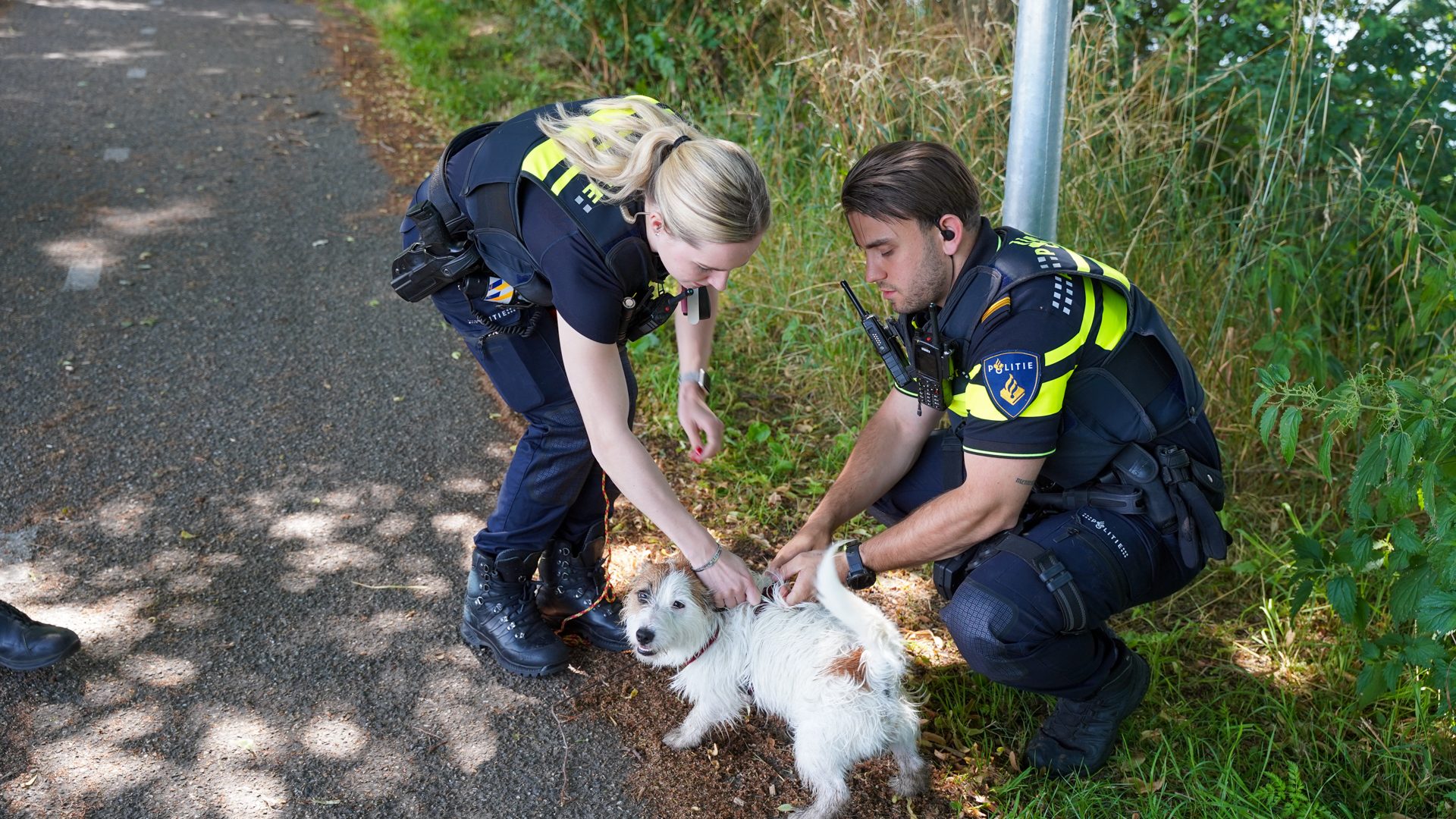 20260629_Man-en-hondje-gered-uit-kanaal-bij-Steer-in-Nederweert_6