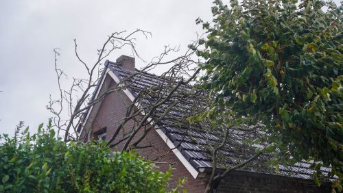 20261023_Boom-valt-tegen-woning-aan-Geheugden-in-Nederweert_3