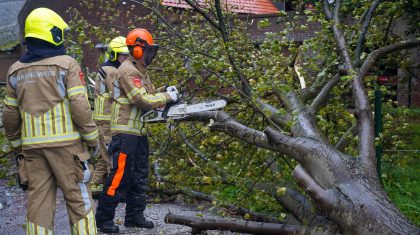 20261023_Boom-waait-om-en-belandt-op-Bochtstraat-in-Ospel_4
