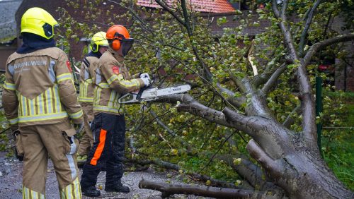 20261023_Boom-waait-om-en-belandt-op-Bochtstraat-in-Ospel_4