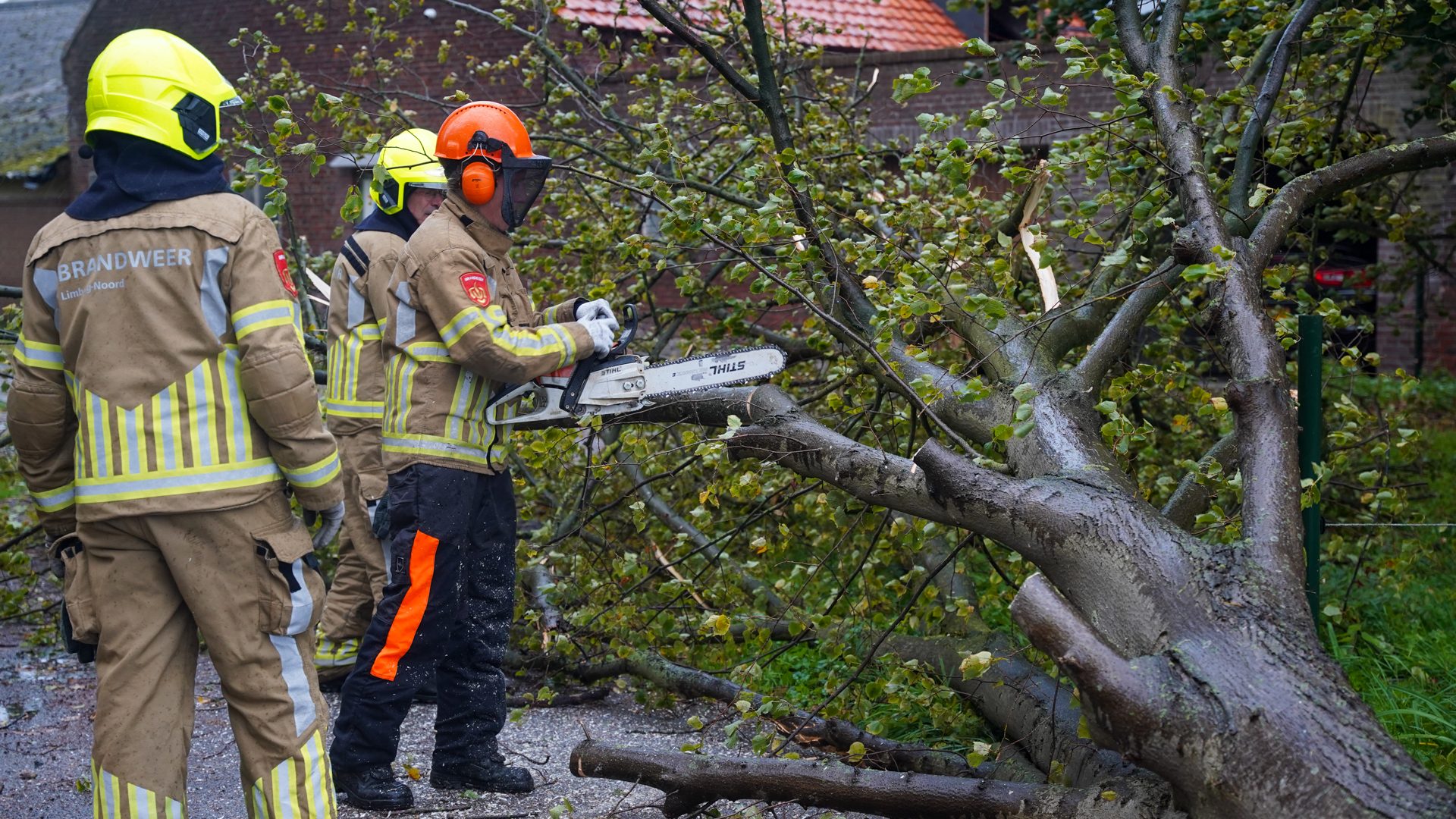 20261023_Boom-waait-om-en-belandt-op-Bochtstraat-in-Ospel_4