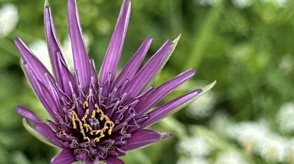 2026_01_19-Workshop-smartphone-fotografie