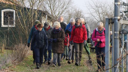 2026_01_29-Heerlijke-winterwandeltocht-Scouting6
