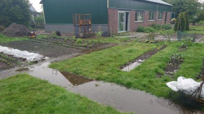 2026_01_29-Volkstuinen-vrij-bij-In-Paradisum-aan-de-Hoofstraat2