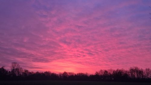 Foto | Truus Linders