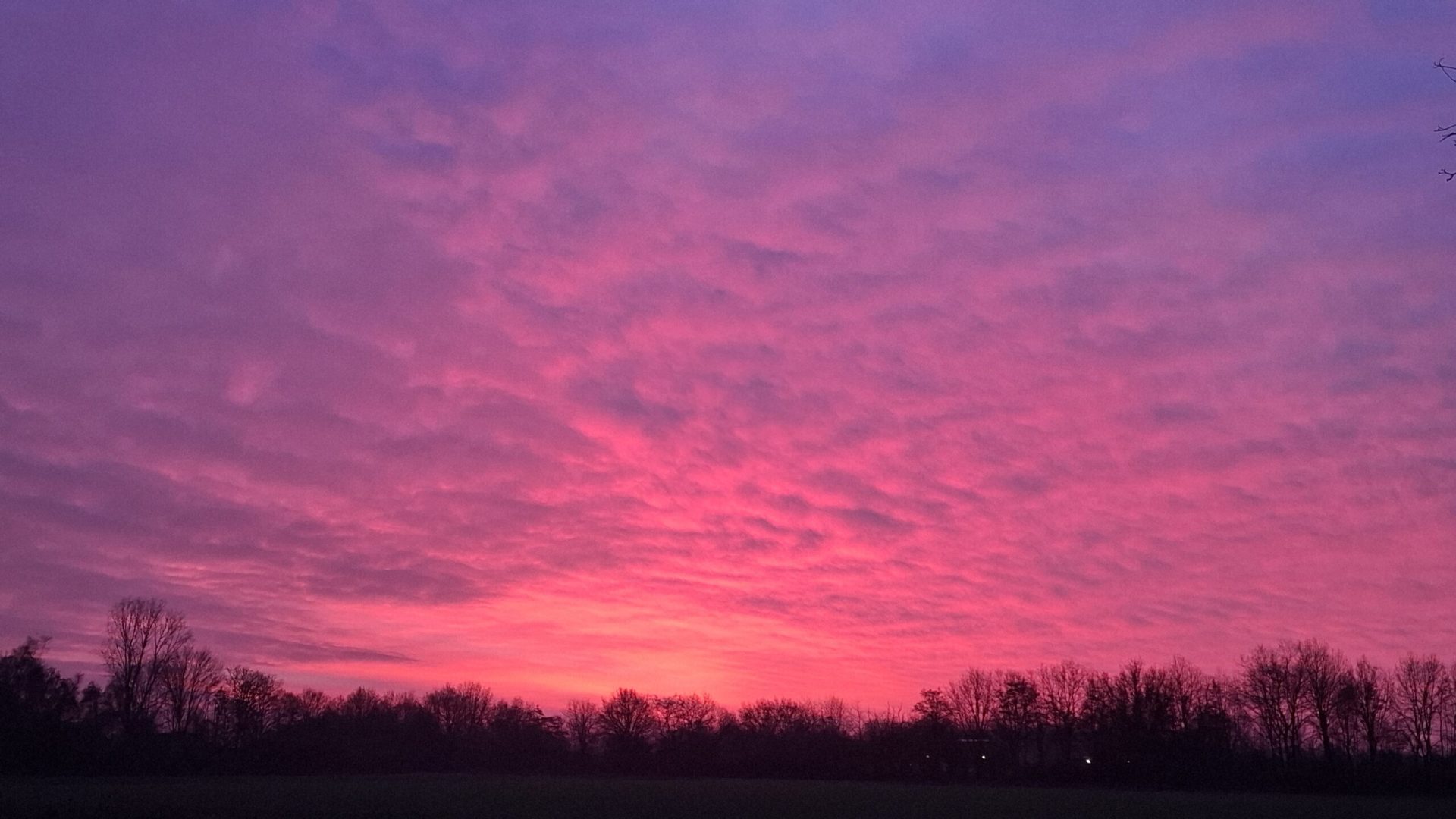 Foto | Truus Linders