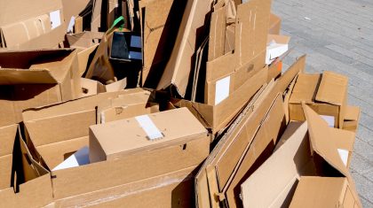 Foto | ginasanders - depositphotos.com