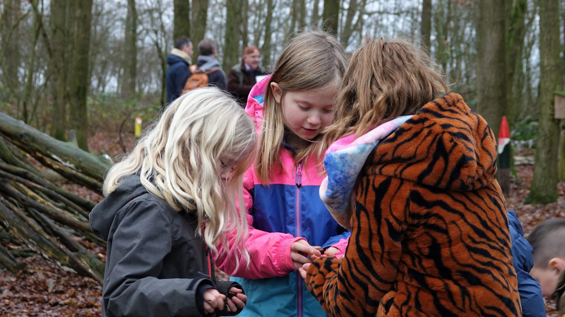 Foto | Marijke Vaes-Schroën
