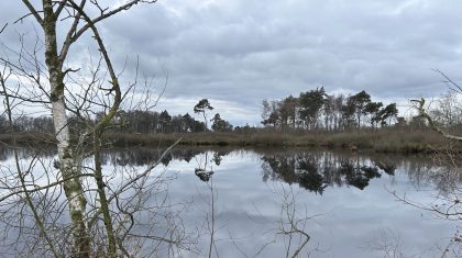 2026_02_06-Peeltocht-met-consumptie-in-Nationaal-Park-De-Groote-Peel