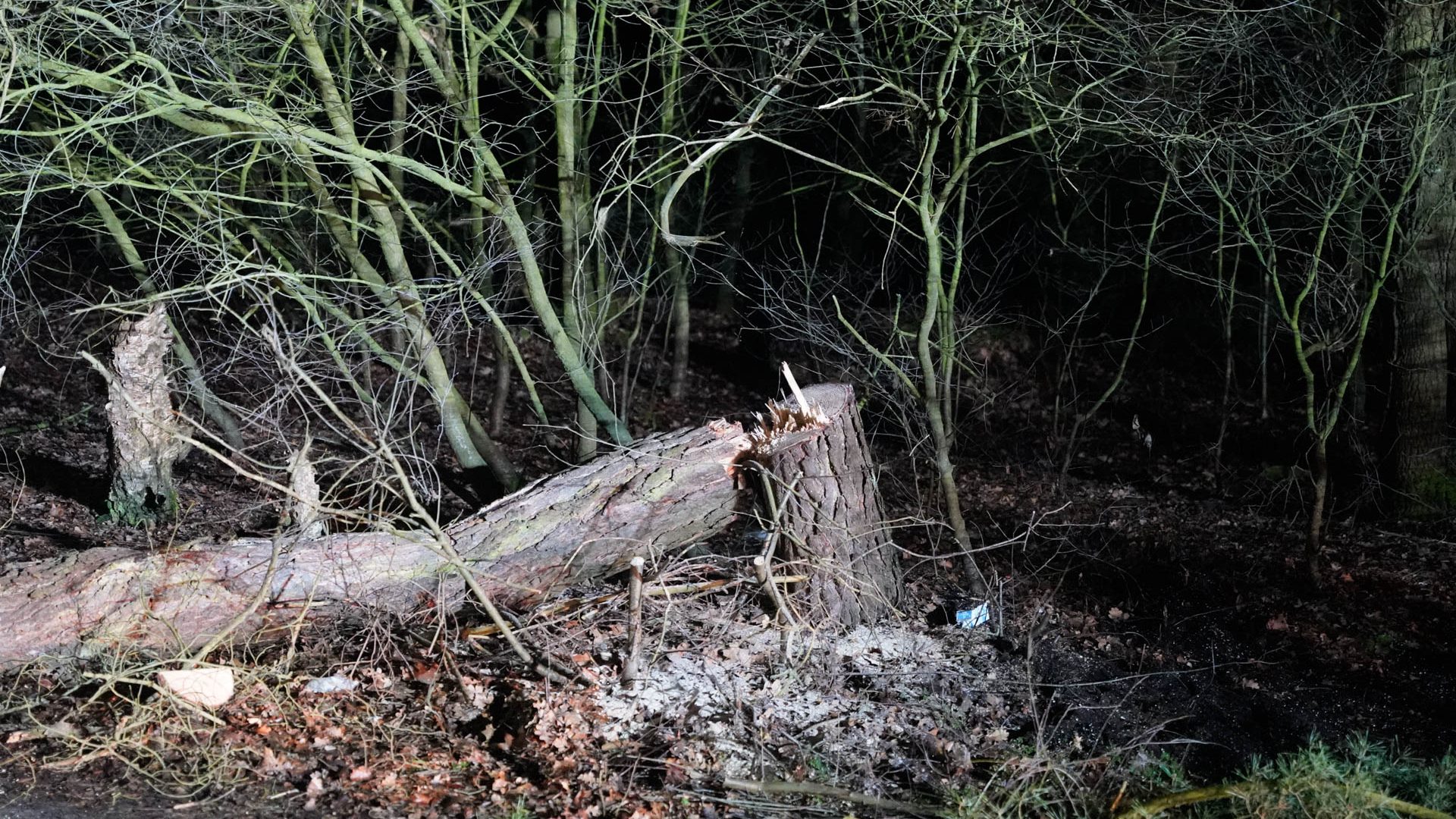 2026_02_08-Omgezaagde_boom_Wessemerdijk-6