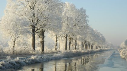 2026_02_09-Overlijdensbericht-Frans-Thiessen2