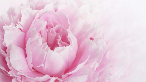 2026_02_13-Overlijdensbericht-Jordan-Kooij3