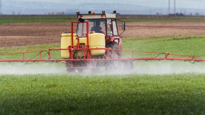 Foto | fotokostic - depositphotos.com