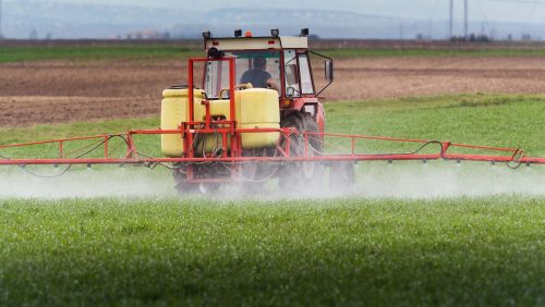 Foto | fotokostic - depositphotos.com