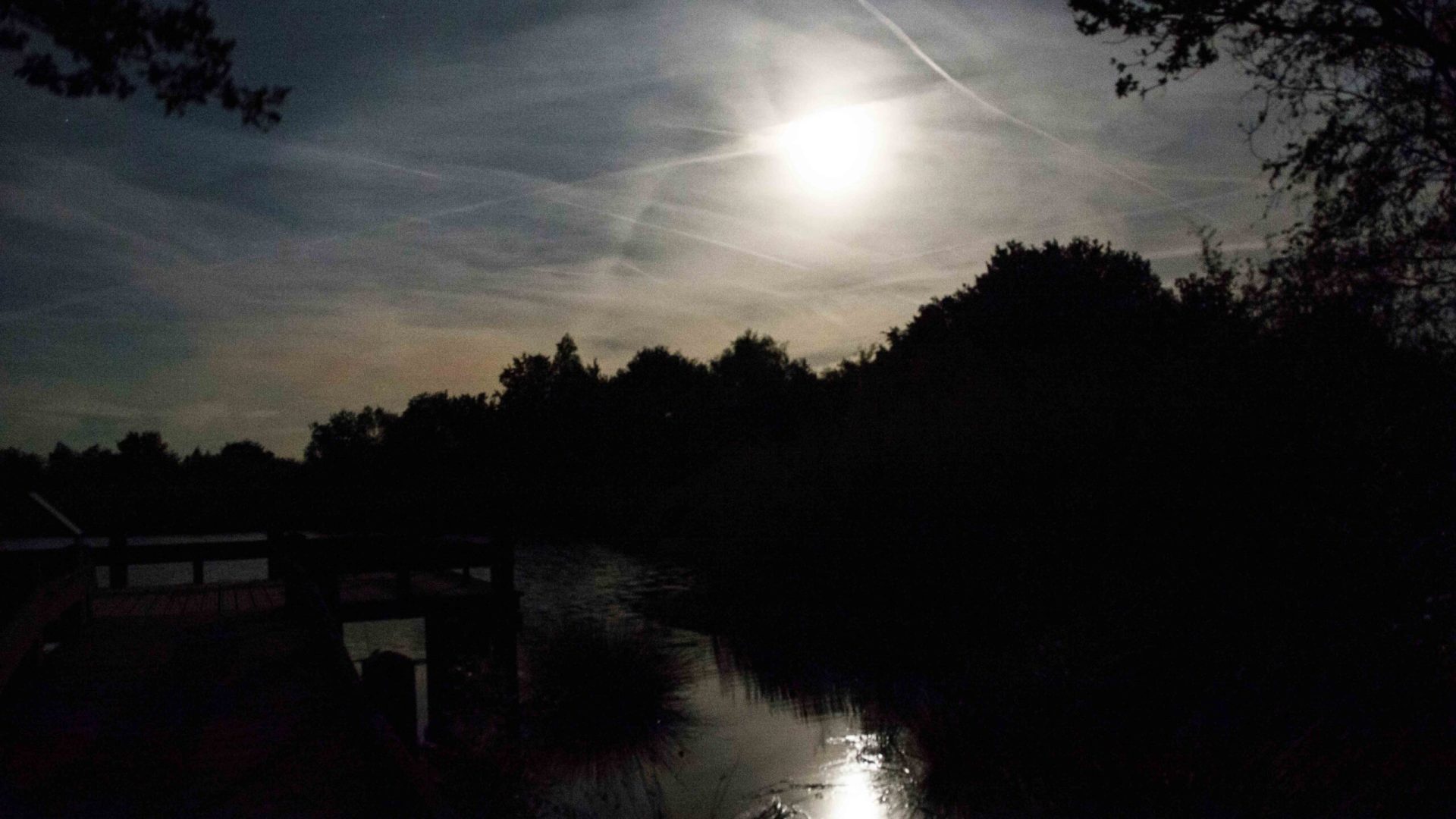 Foto | Mariet Fijten