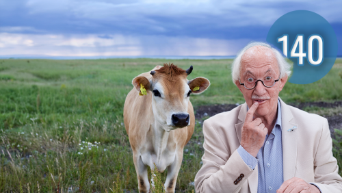 2026_02_28-Kaofke-Neeltje-Zieeve