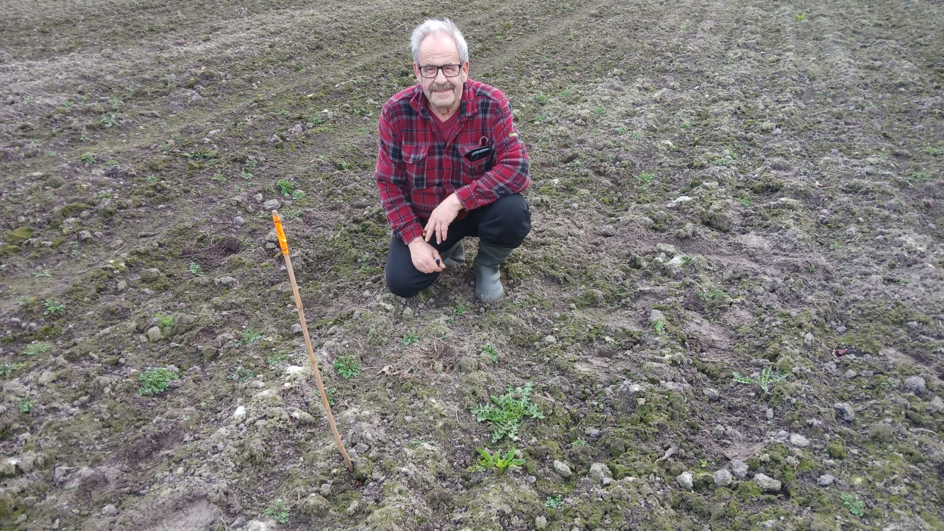 2026_03_10-Limburgse_kievitsei_gevonden_in_Nederweert