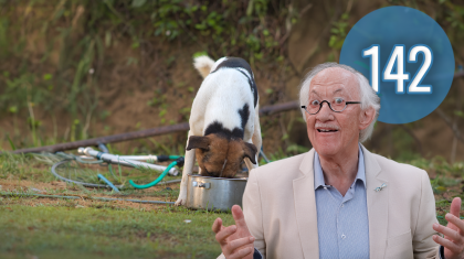 2026_03_14-Gek-op-en-van-Bieeste