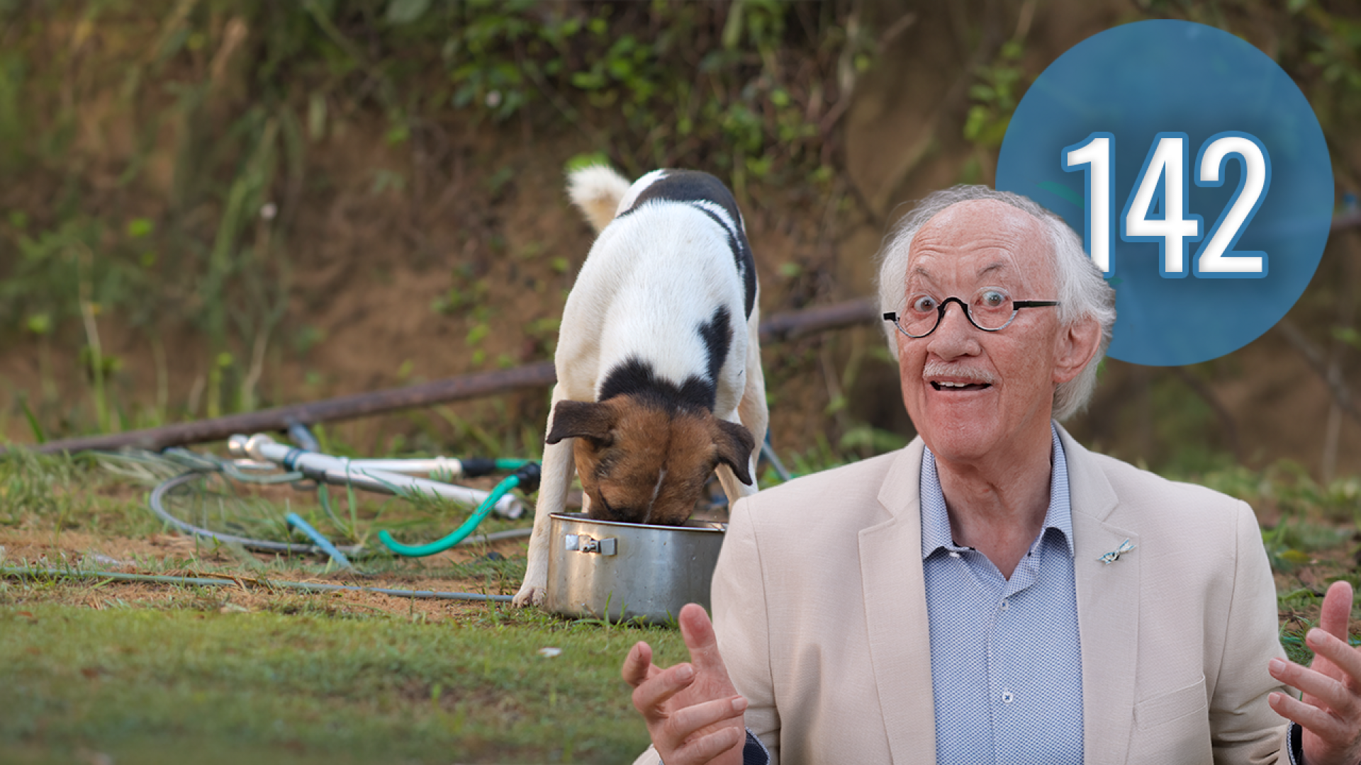 2026_03_14-Gek-op-en-van-Bieeste