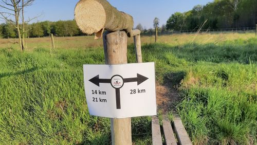 2026_03_16-SV-Leveroy-organiseert-jaarlijkse-wandeltocht