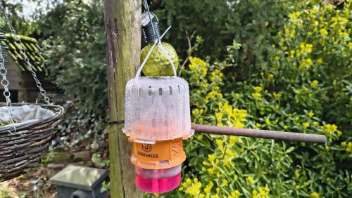 2026_03_17-Hulp-wijkbewoners-bij-bestrijding-hoornaars-op-Leuken