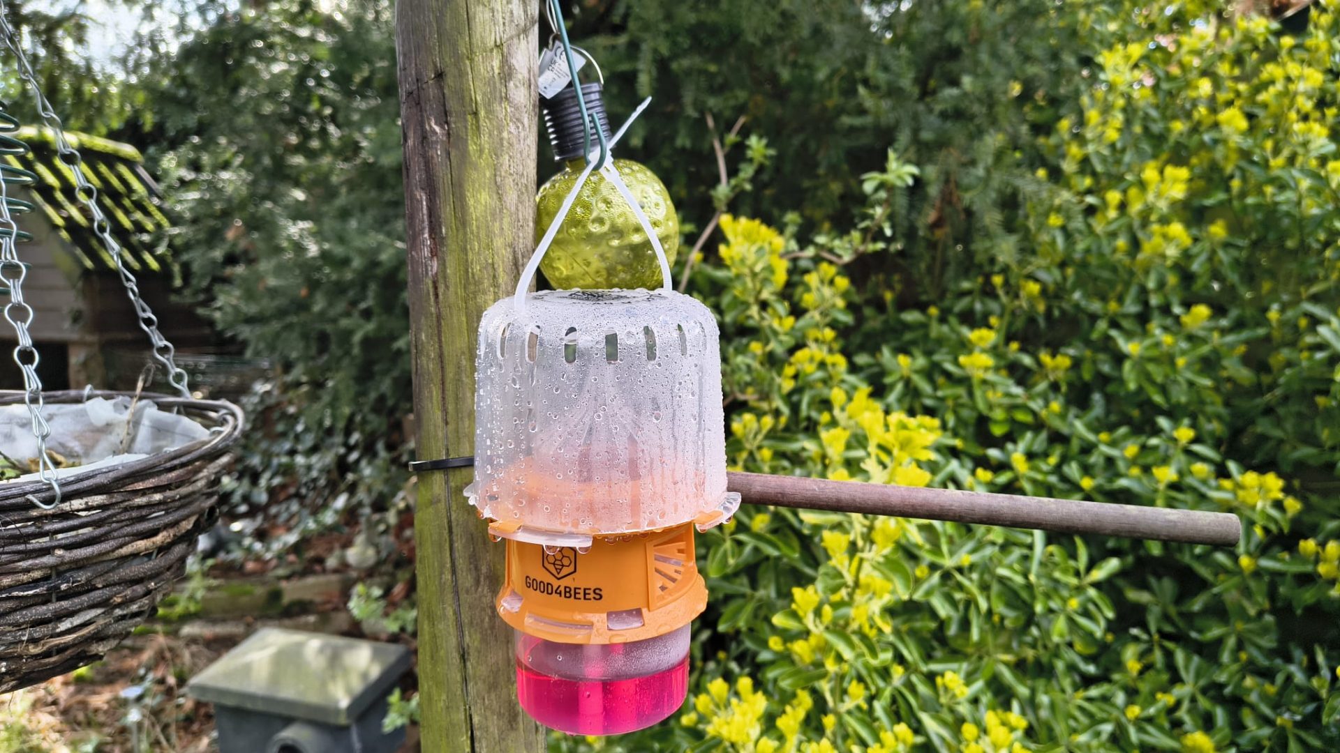 2026_03_17-Hulp-wijkbewoners-bij-bestrijding-hoornaars-op-Leuken