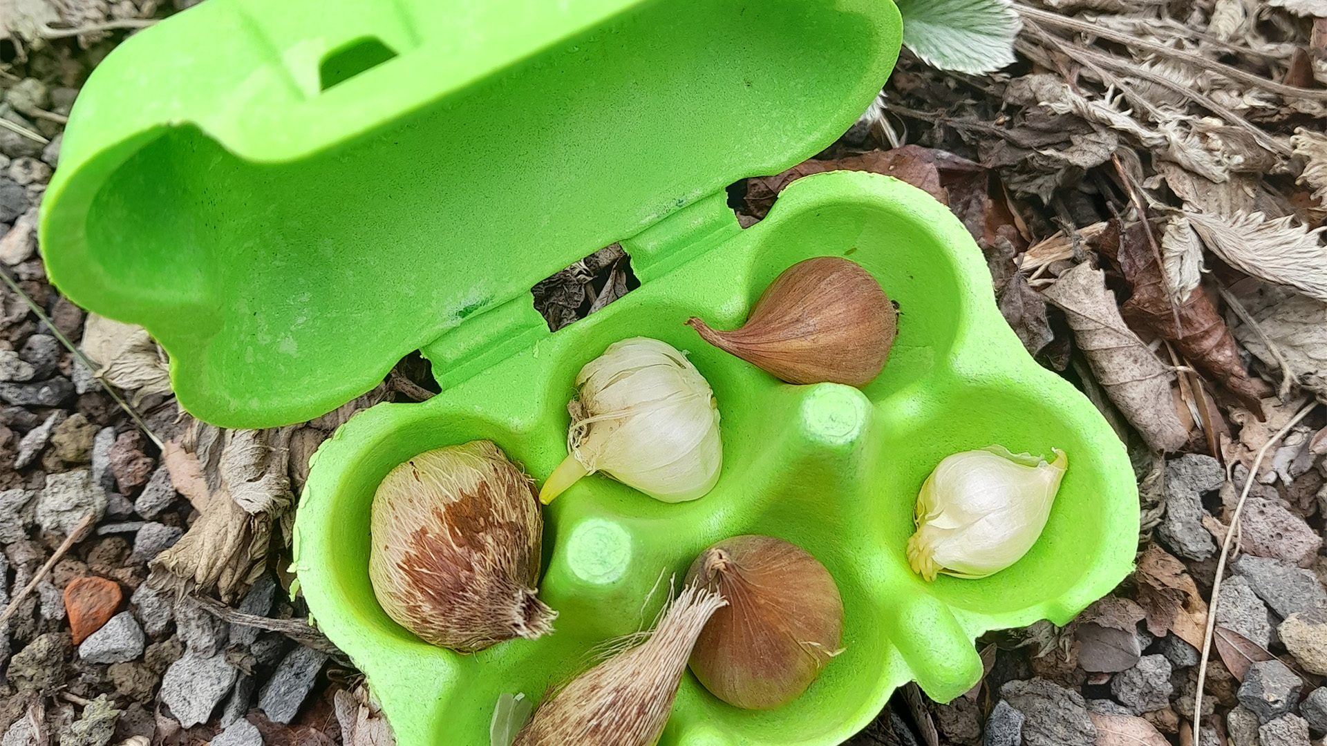 2026_04_01-Lente_actie_bij_Same_Ein