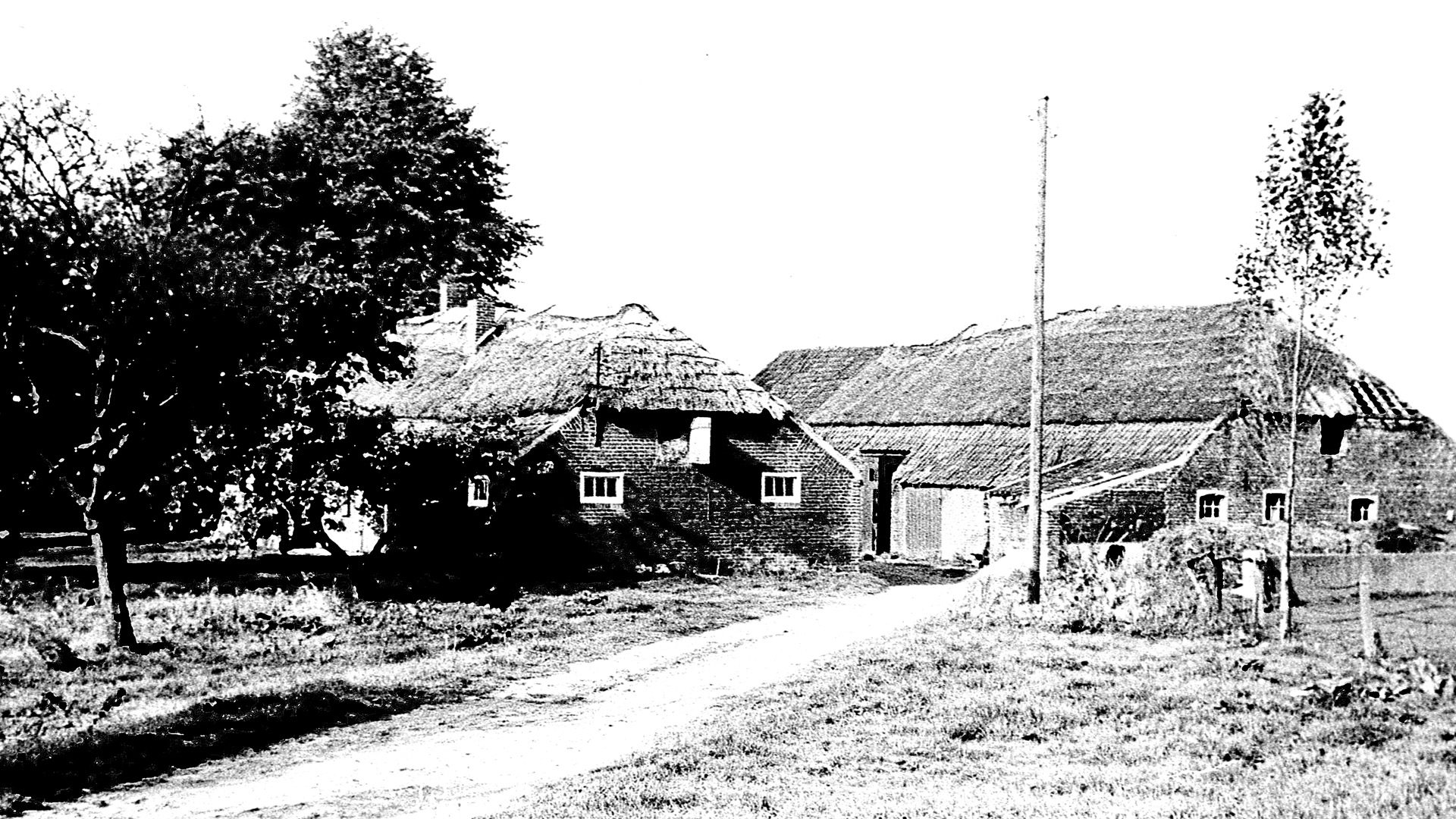 2026_04_02-Heemkundevereniging_Nederweert_duikt_in_oude_fotos_en_dias