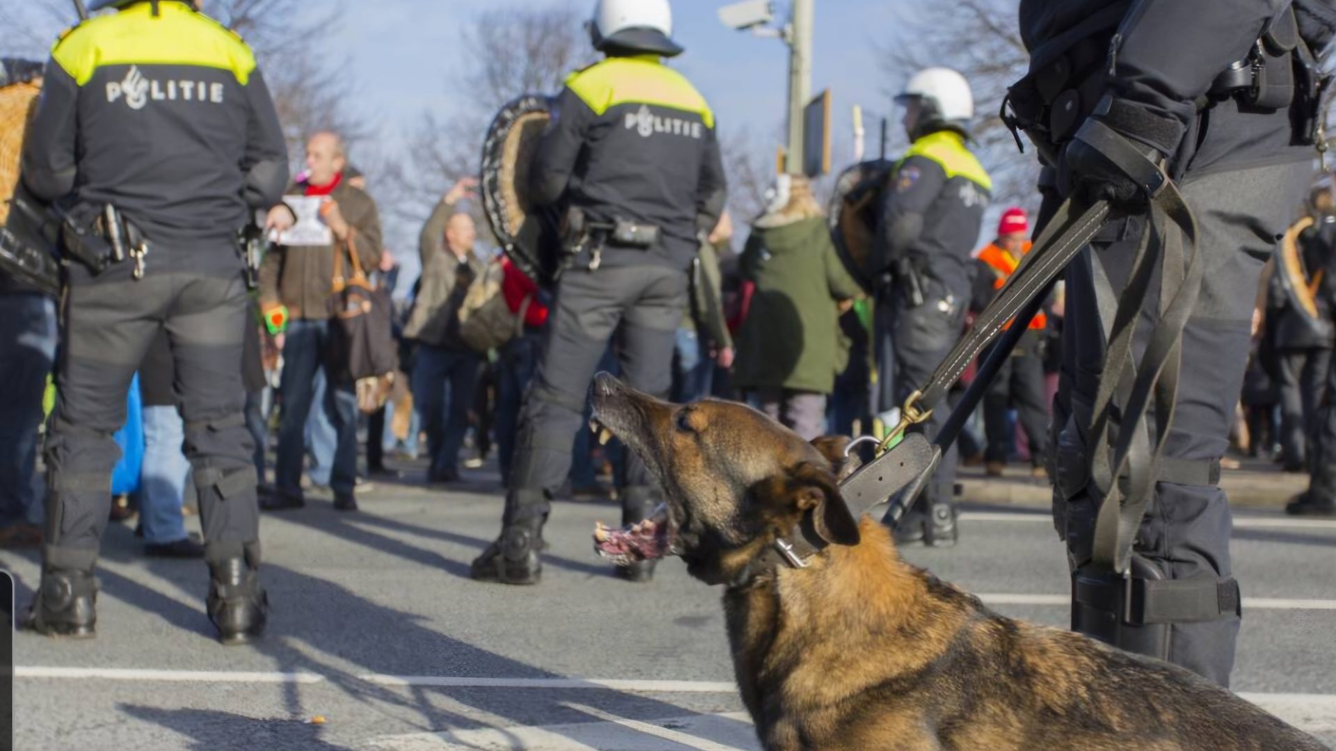 Foto | Rob van den Eijnden