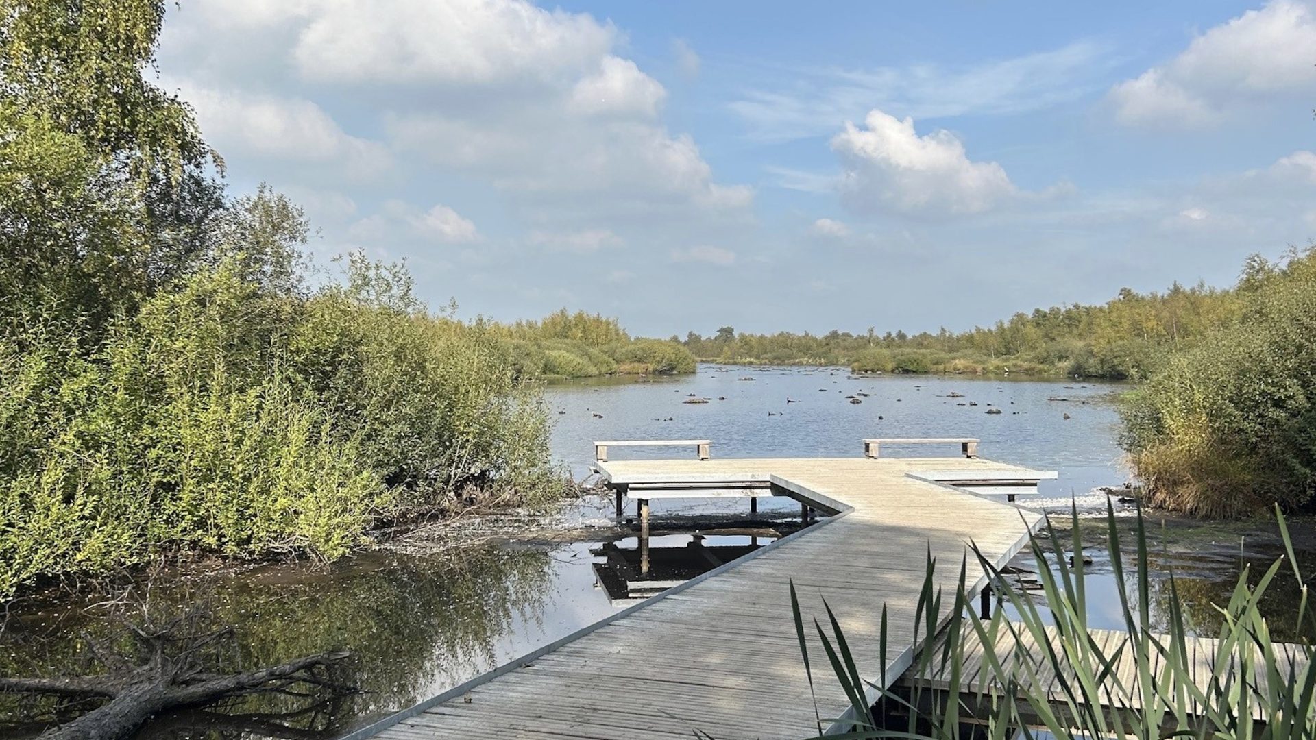 2026_04_20-Activiteitenprogramma-Peelpodium-mei-2026