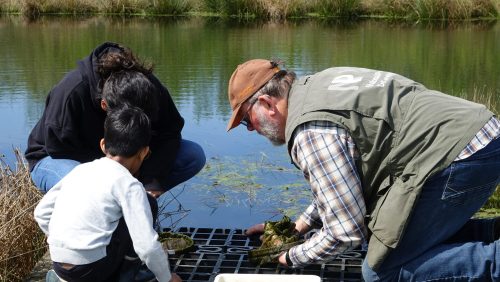 2026_04_20-Ga-op-sPeelse-Expeditie-in-De-Groote-Peel