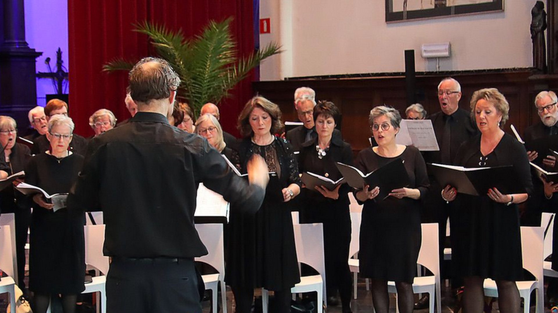 2026_04_24-Code-Napoleon