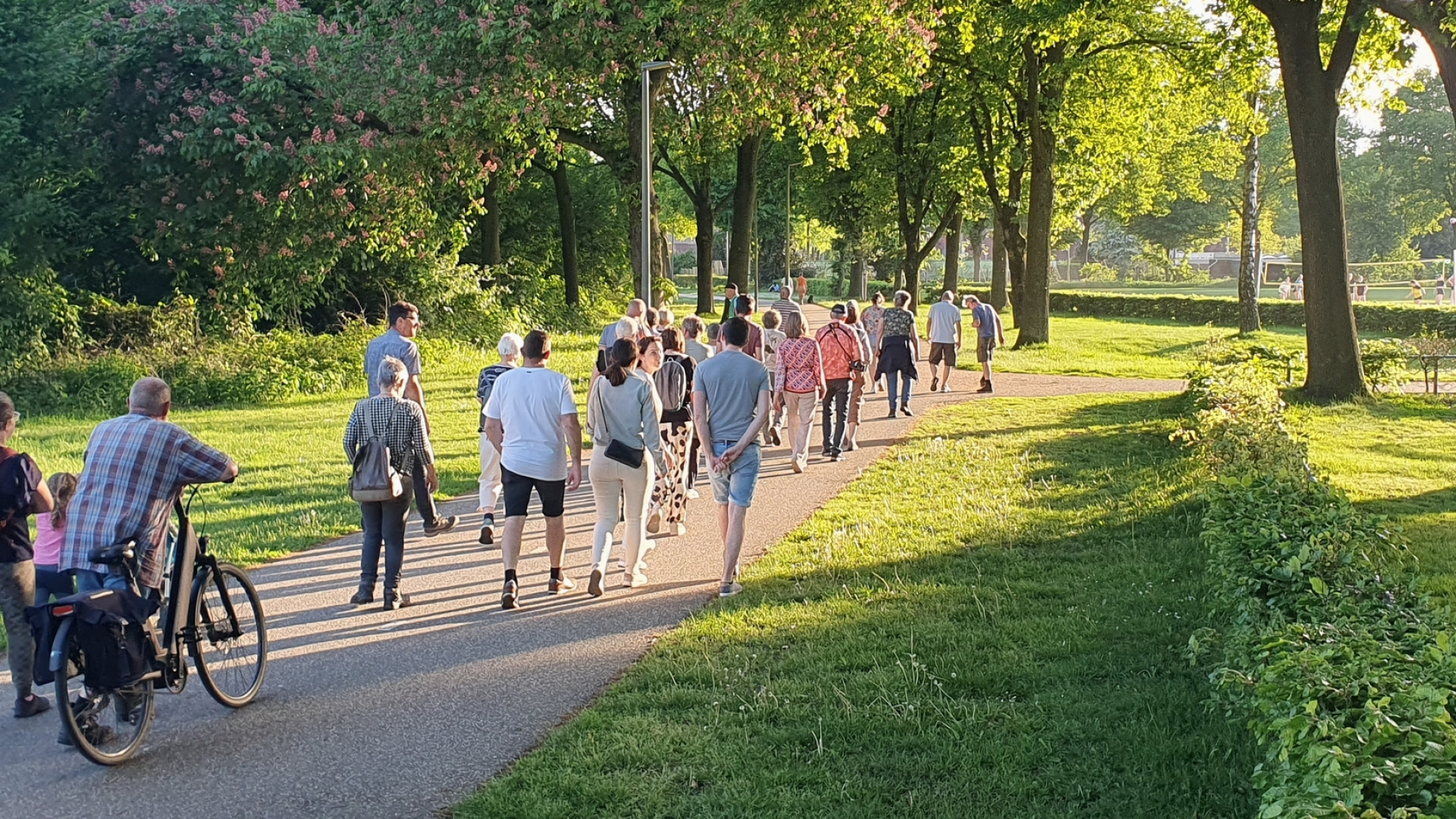 2026_04_26-Bomenwandeling-Stichting-Groen-Weert-2026