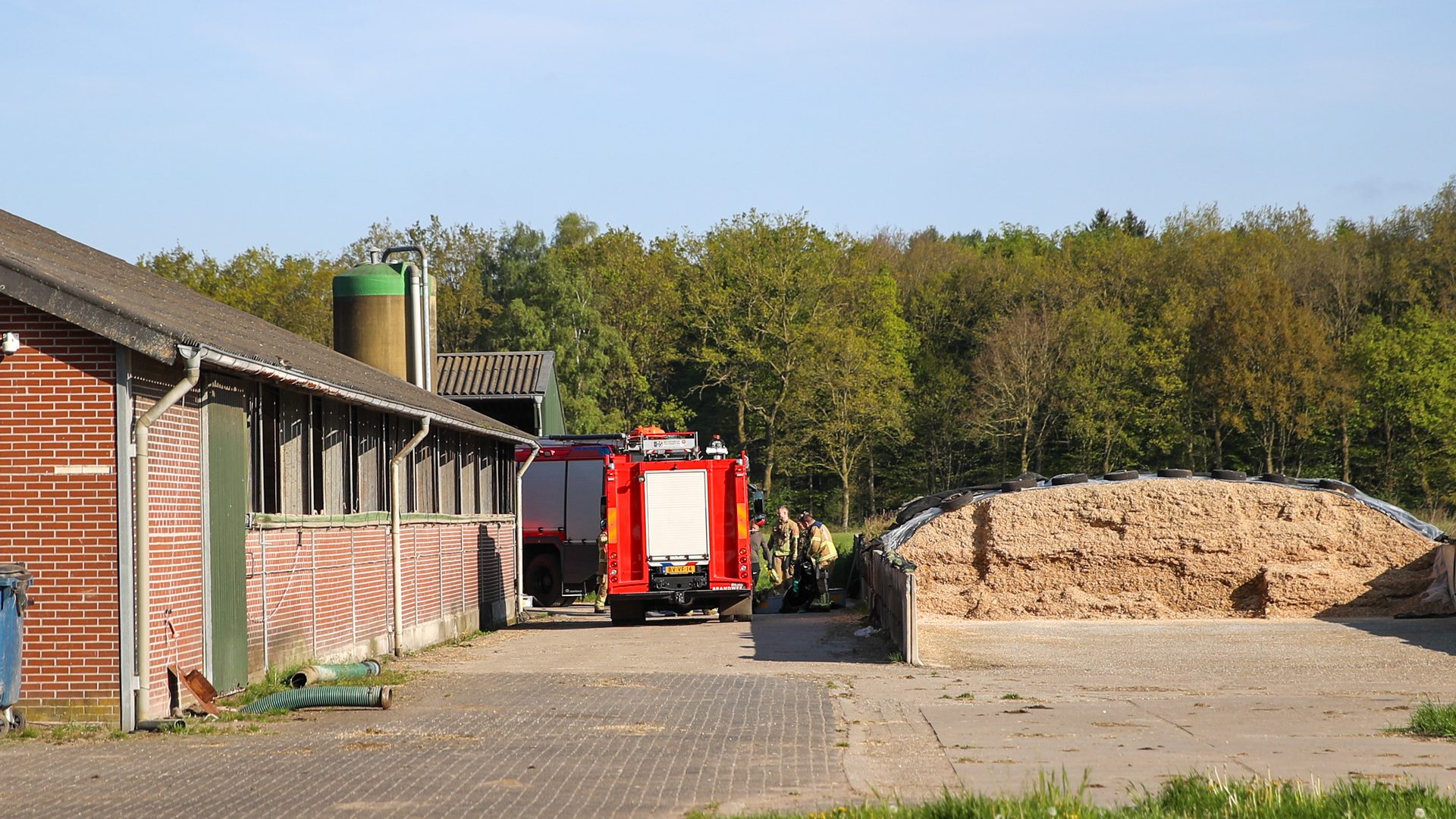 2026_04_26-Kalf-in-de-put-bij-agrarisch-bedrijf-aan-Kruisstraat-in-Nederweert-Eind-3