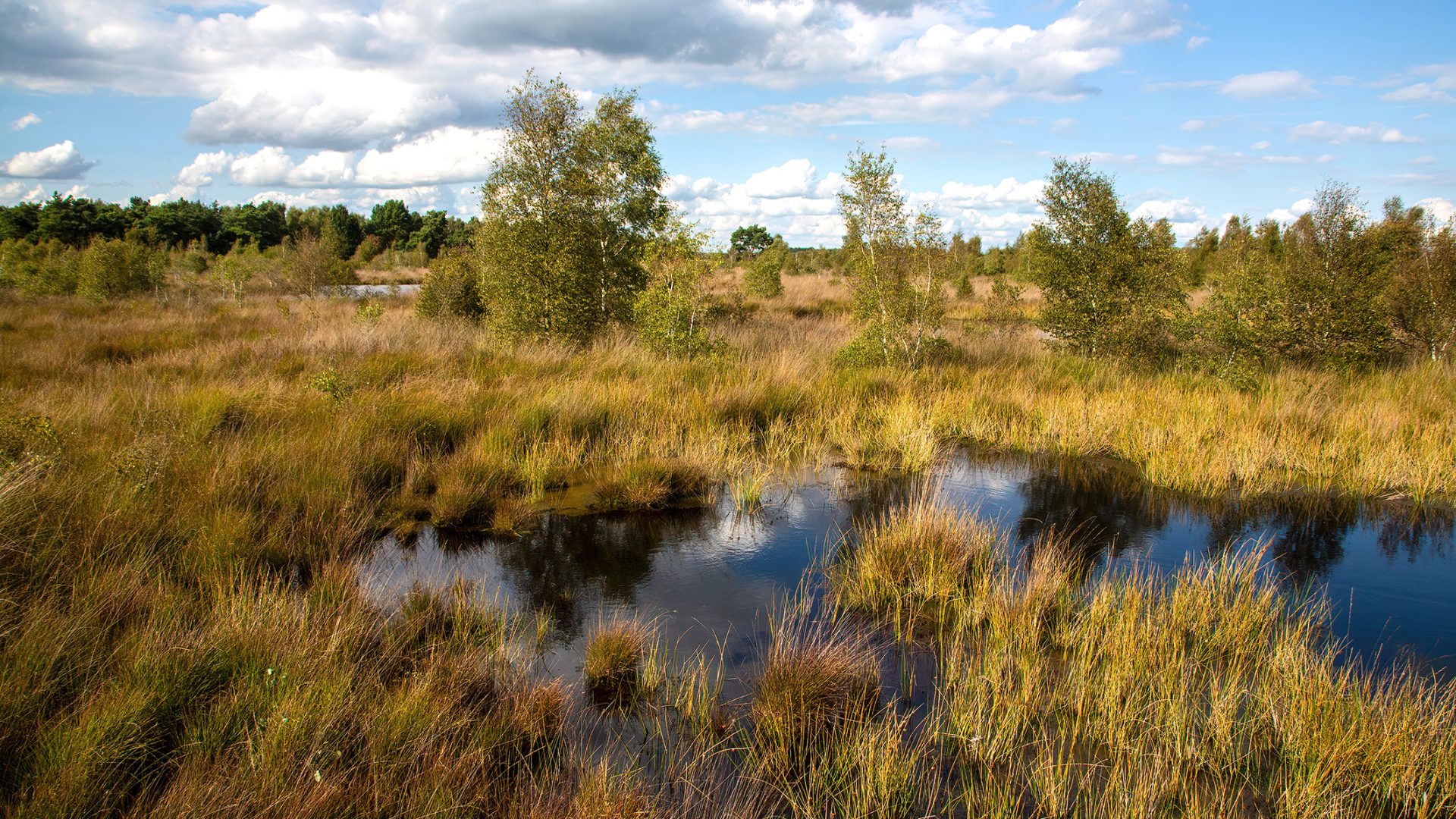 Foto | Jan van de Kam