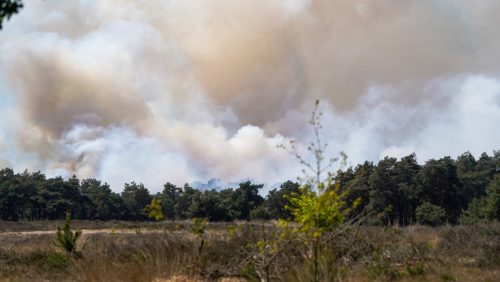 2026_04_30-Grote_natuurbrand_op_militair_oefenterrein_tussen_Weert_en_Budel-1