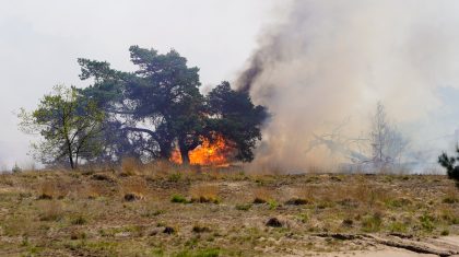 2026_04_30-Grote_natuurbrand_op_militair_oefenterrein_tussen_Weert_en_Budel-15
