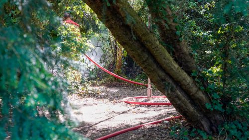 2026_05_01-Kleine_brand_in_bosjes_van_Kasteelpark_Nijenborgh_Weert-3