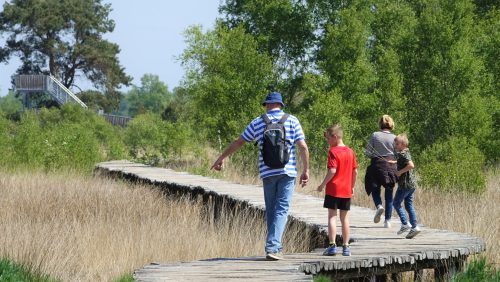 2026_05_06-Ga_voor_dag_en_dauwtrappen_in_de_natuur