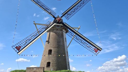 2026_05_08-Molenaars-echtpaar-Gerrie-en-piet-Heldens-50-jaar-getrouwd