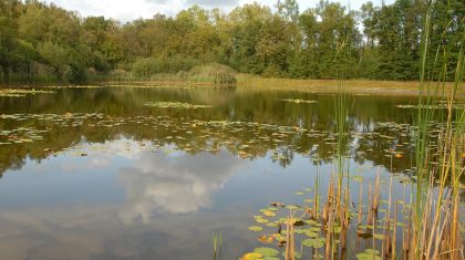 Foto | Het Limburgs Landschap, Henk Heijligers