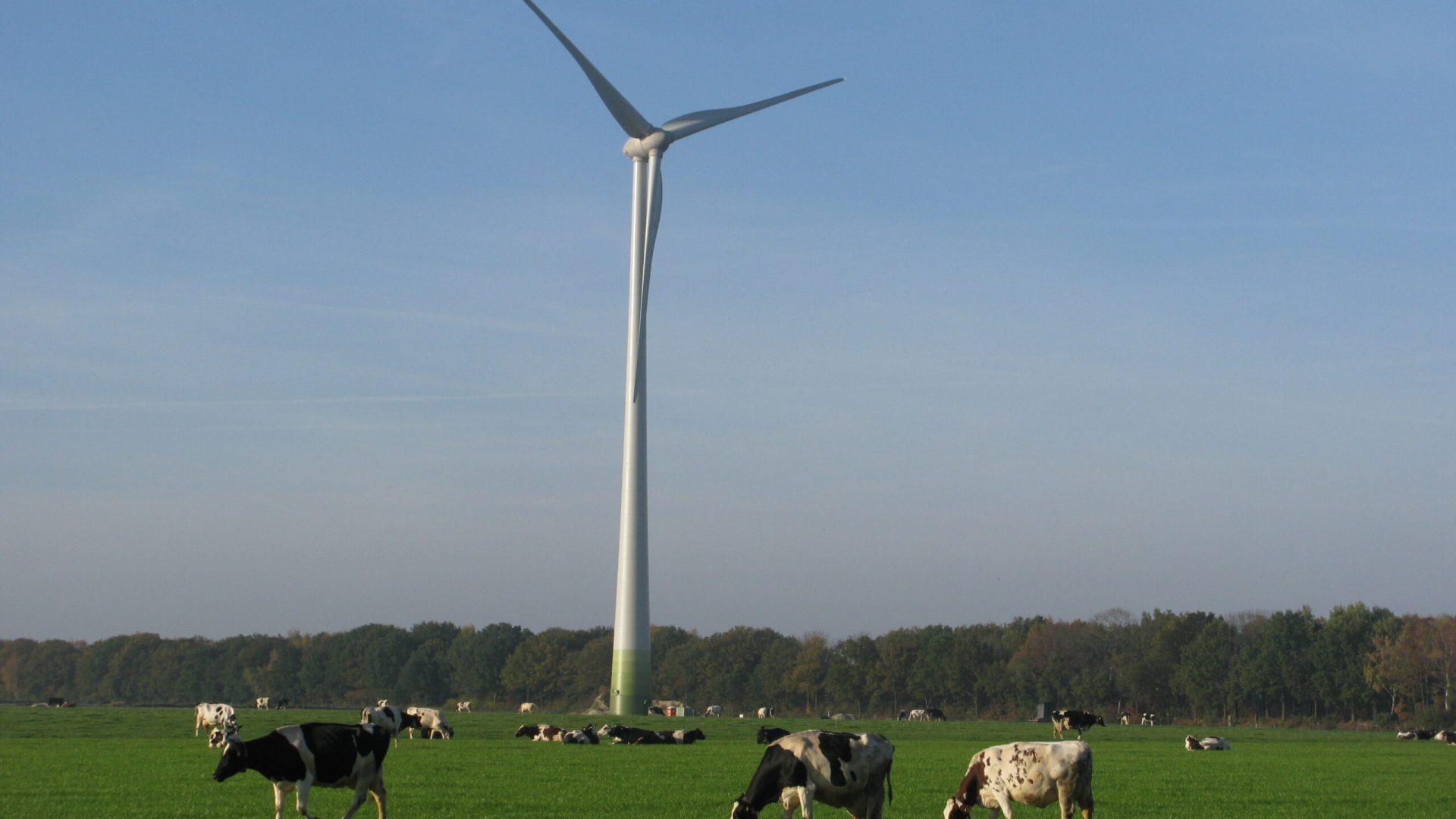 2026_07_28-Zuidenwind_zet_in_op_cultuur_bij_Limburg_Festival