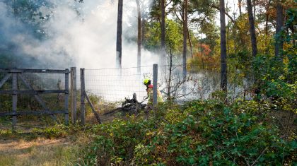 2026_07_30-Brand_in_Weerterbos_bij_Nederweert-3