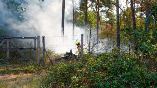 2026_07_30-Brand_in_Weerterbos_bij_Nederweert-3