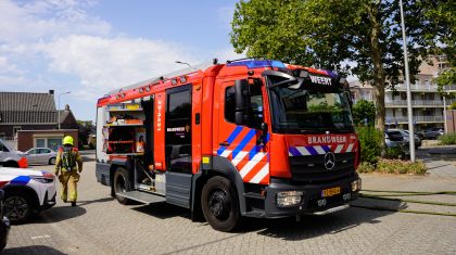 2026_08_04-Rook_in_wooncomplex_in_Weert-1
