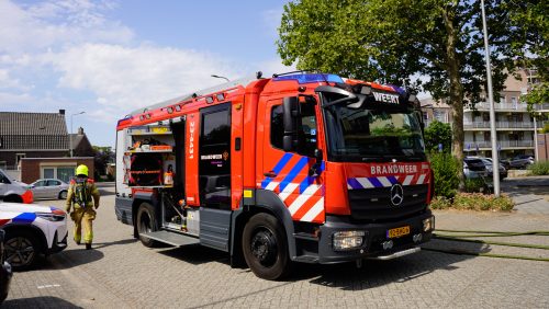 2026_08_04-Rook_in_wooncomplex_in_Weert-1