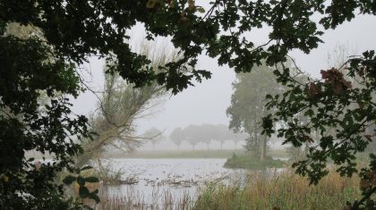 22382082_1566473170086242_854931520029889447_o