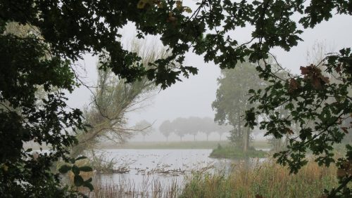 22382082_1566473170086242_854931520029889447_o